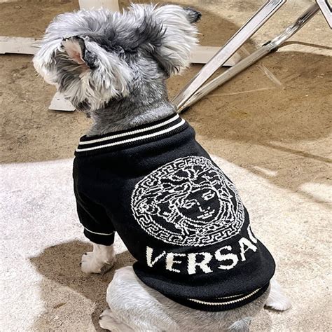 versace for dogs